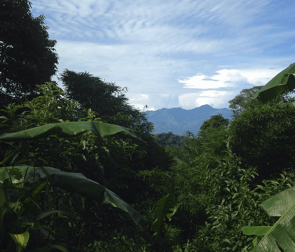 The-Retreat-Dining-Area-View
