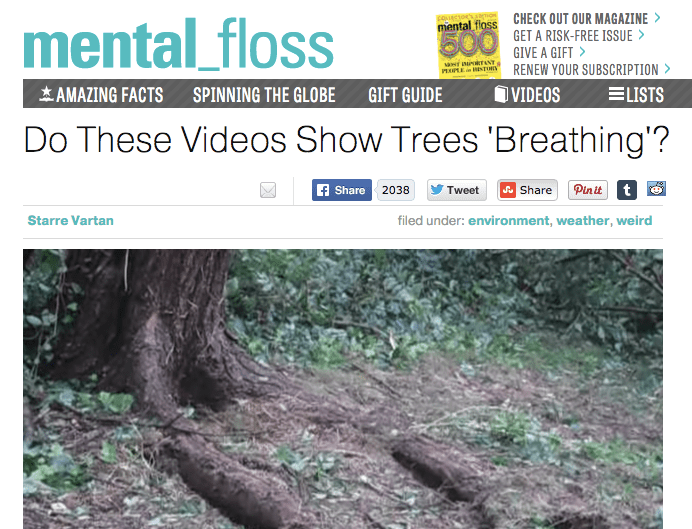 Screen Shot 2016-01-03 at 2.25.02 PM