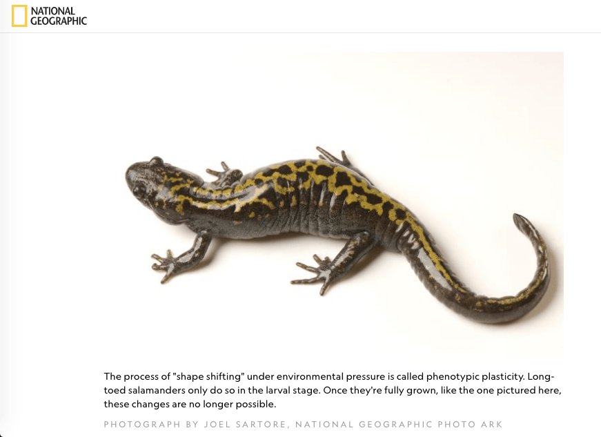 Screen Shot 2019-07-17 at 2.26.56 PM